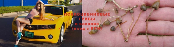 каннабис Алзамай