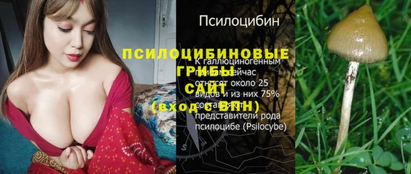 каннабис Алзамай
