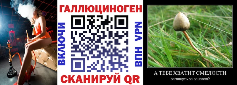 OMG сайт  Суровикино  Галлюциногенные грибы прущие грибы 